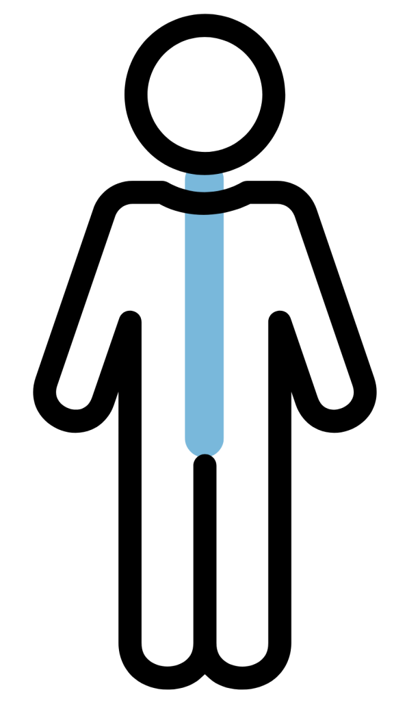 Whole-spine icon